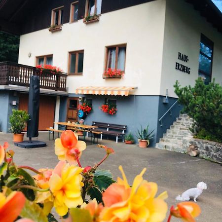 Haus-Erzberg Bed and Breakfast Vordernberg Eksteriør billede