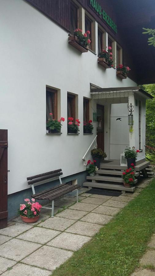 Haus-Erzberg Bed and Breakfast Vordernberg Eksteriør billede
