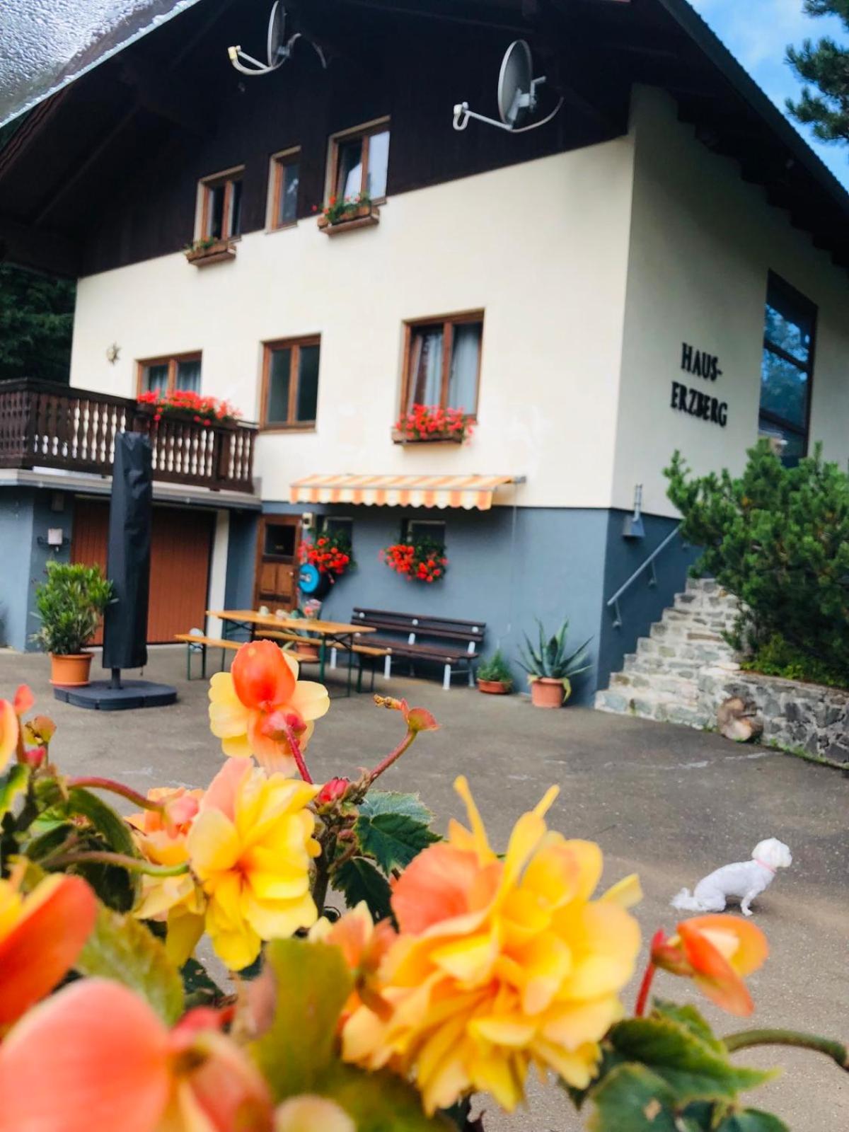 Haus-Erzberg Bed and Breakfast Vordernberg Eksteriør billede