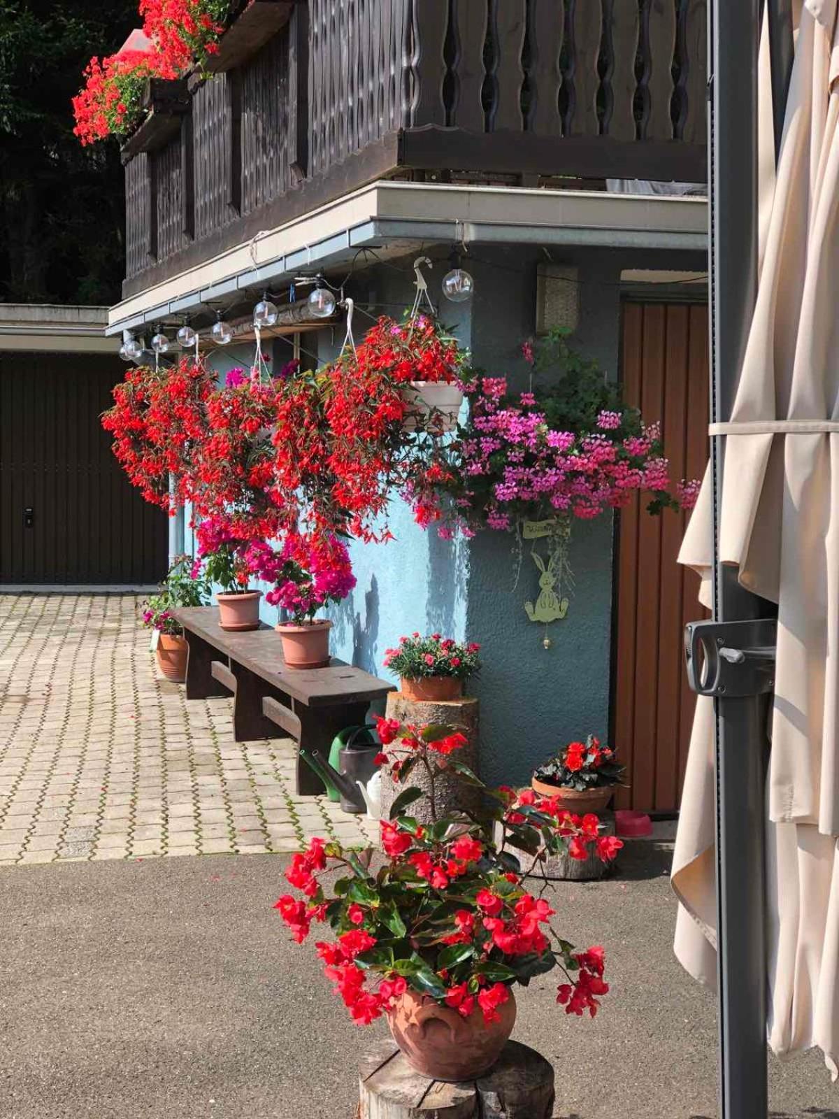 Haus-Erzberg Bed and Breakfast Vordernberg Eksteriør billede
