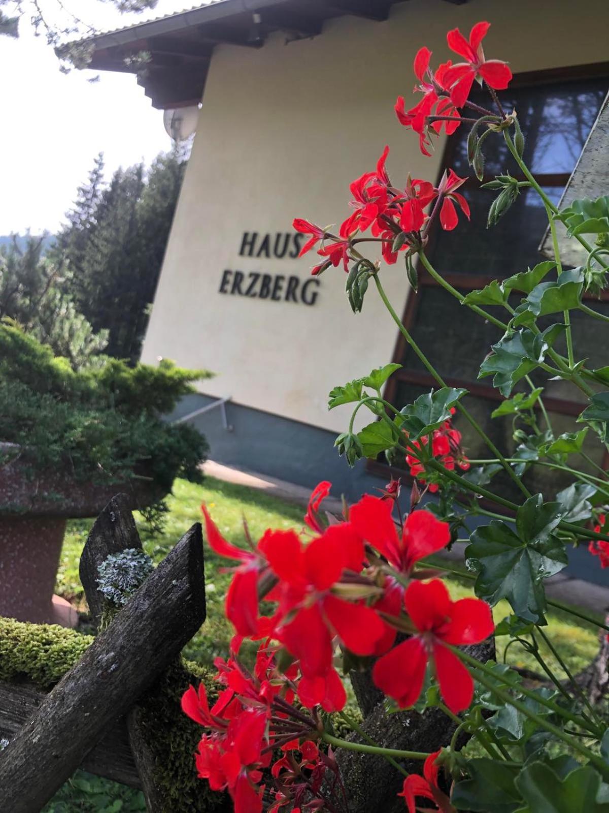 Haus-Erzberg Bed and Breakfast Vordernberg Eksteriør billede